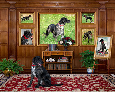 Creative_Ambiguity_VS_3R_12